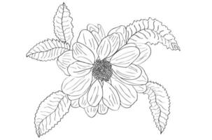 feuilles de chrysanthème peintes sur fond blanc, que vous pouvez utiliser pour les cartes postales, la marque de fleuriste, la Saint-Valentin, le 8 mars, pour l'impression de vêtements vecteur