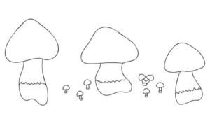 champignons peints en blanc sur noir, destinés à l'impression de cartes postales vecteur