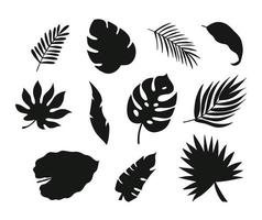 ensemble de silhouettes de feuilles de palmier vecteur