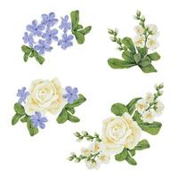 aquarelle belle rose blanche et bleu plumbago auriculata plante fleur bouquet clipart collection vecteur