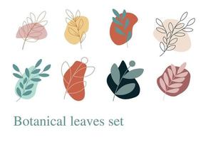 ensemble d'illustrations vectorielles de feuilles botaniques florales isolées sur fond blanc. collection de feuilles florales botaniques. vecteur