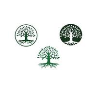 vecteur de logo arbre et racine