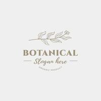 modèle de conception de logo botanique, huile d'olive, logo floral, logo féminin, vecteur premium de logo de beauté