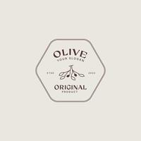 modèle de conception de logo de branche d'olivier, huile d'olive, feuille d'olivier, combinaison de logo d'olivier avec une belle typographie vecteur