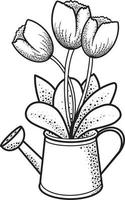 un bouquet de tulipes debout dans un arrosoir. illustration vectorielle monochrome sur fond transparent. livre de coloriage, tatouage vecteur