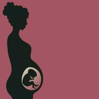 femme enceinte avec fœtus en développement vecteur