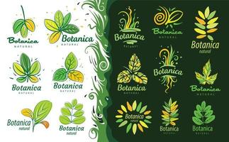 un ensemble de logos avec l'inscription botanica et des feuilles peintes vecteur