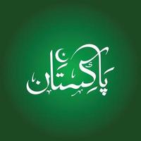 pakistan nom arabe calligraphie art vecteur