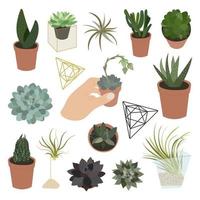 ensemble réaliste de plantes succulentes et d'accessoires vecteur