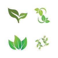 logos de l'écologie des feuilles d'arbre vert vecteur