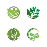 logos de l'écologie des feuilles d'arbre vert vecteur