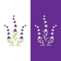 vecteur de logo fleur de lavande fraîche