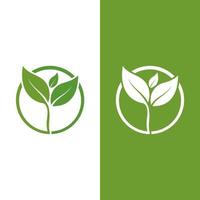 logos de l'écologie des feuilles d'arbre vert vecteur