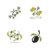 conception d'illustration vectorielle icône olive vecteur