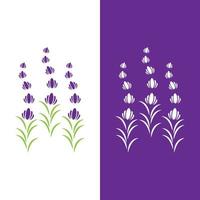 vecteur de logo fleur de lavande fraîche