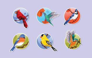 oiseaux printaniers colorés stickers vecteur