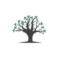 logo de la racine de l'arbre vecteur