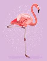 illustration élégante et lumineuse avec flamant rose. affiche avec flamant rose mignon sur fond violet. illustration vectorielle vecteur