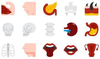 ensemble d'icônes vectorielles liées au corps humain. contient des icônes telles que le muscle, le nez, le pancréas, le bassin, le crâne, la peau et plus encore. vecteur