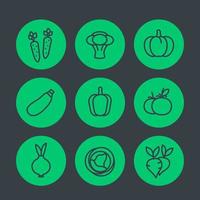 ensemble d'icônes de ligne de légumes, carotte, brocoli, courgette, citrouille, poivre, chou, betterave, tomate, oignon