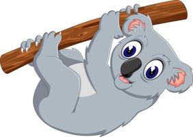 dessin animé mignon bébé koala vecteur