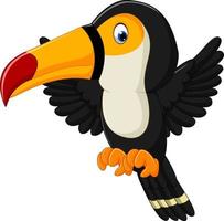 dessin animé oiseau heureux toucan vecteur