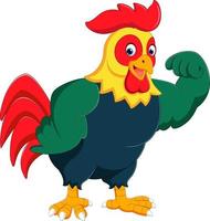 coq de poulet dessin animé posant vecteur