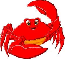illustration de dessin animé mignon de crabe vecteur
