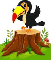 dessin animé heureux toucan sur une souche d'arbre vecteur
