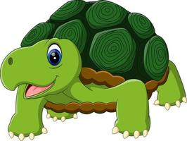 illustration de dessin animé mignon de tortue vecteur