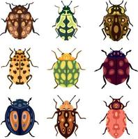 ensemble vectoriel de beaux coléoptères colorés avec des taches