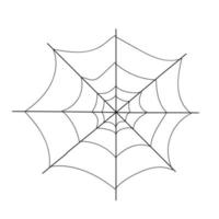 vecteur doodle illustration de toile d'araignée