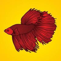 poisson de combat siamois rouge vecteur