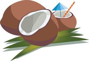 illustration vectorielle de trois noix de coco, entières, coupées en deux et hachées avec de la paille et un parapluie vecteur