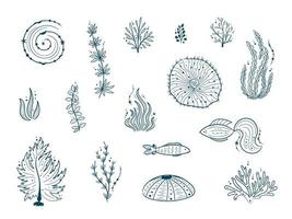 silhouettes de contour de la vie marine isolé sur fond blanc. illustrations vectorielles dessinées à la main de la ligne gravée. collection de croquis de méduses, de poissons, d'algues, de coraux, de coquillages, d'oursins
