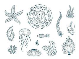 silhouettes de contour de la vie marine isolé sur fond blanc. illustrations vectorielles dessinées à la main de la ligne gravée. collection de croquis de méduses, de poissons, d'algues, de coraux, de coquillages, d'oursins