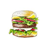 burger hamburger croquis dessin au crayon à la main, illustration sur fond blanc. vecteur