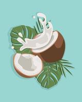 noix de coco et feuilles avec éclaboussures de lait, comme bannière, affiche ou modèle. demi-noix de coco avec feuille verte.