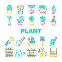 plantes en pot et accessoires de soins set vector