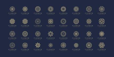 ensemble de conception de logo de luxe fleur nature vecteur