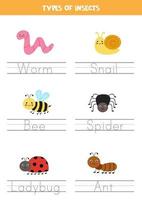 tracer les noms des types d'insectes. pratique de l'écriture. vecteur