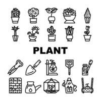 plantes en pot et accessoires de soins set vector