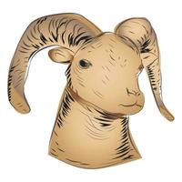 illustration de tête de chèvre vecteur
