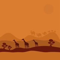 girafes africaines marchant dans le désert, illustration vectorielle