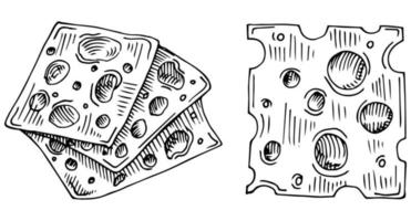 illustration vectorielle de fromage dessinés à la main. vecteur