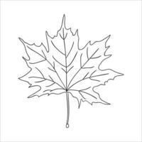 icône de feuille d'érable de ligne vectorielle isolée sur fond blanc. illustration botanique de verdure d'arbre. feuilles d'automne de style dessin animé vecteur