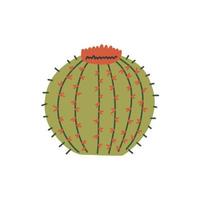cactus vert épineux rond avec une grande fleur rouge vecteur