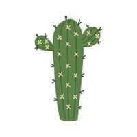 cactus vert avec piquants jaunes doodle vecteur