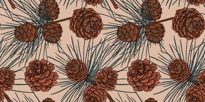 motif botanique harmonieux de branches de cèdre de noël avec cônes, fond beige vecteur