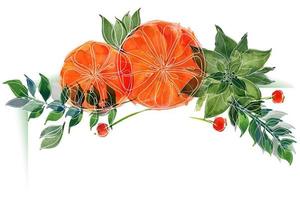 vignette florale de noël avec oranges et poinsettia et branches d'hiver. vignette décorative pour de jolies salutations et invitations de noël et du nouvel an vecteur